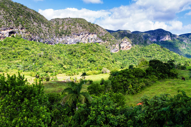 Vista del Valle de Vinales en el oeste de Cuba
. - Foto, imagen
