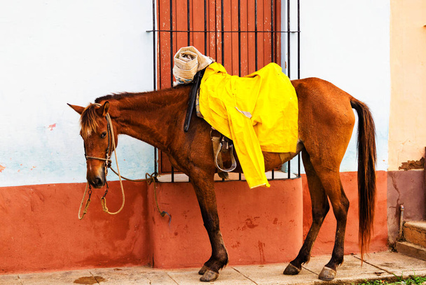 A lovak kint parkolnak, és a lovasaikra és cowboyokra várnak. A színes UNESCO listán szereplő város, Trinidad épülete Kubában.. - Fotó, kép