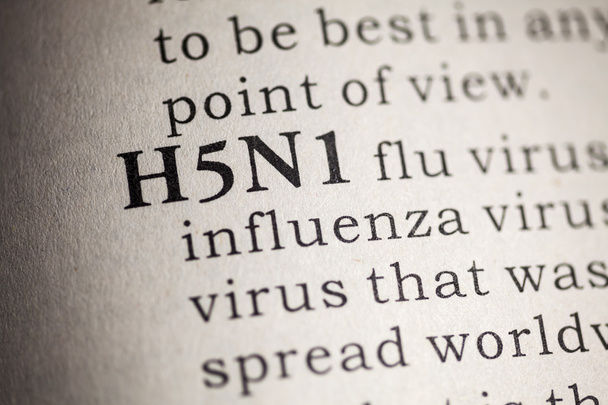 γρίπης H5N1 - Φωτογραφία, εικόνα