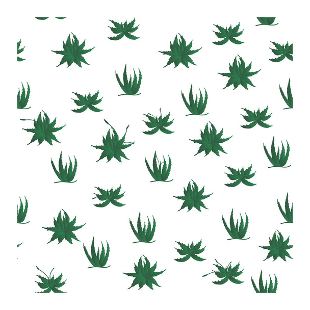 Naadloos patroon met groene aloë planten. Patroon met aloë. Aloë bloem. Een cactus. Groene en witte kleur in het patroon.Vector illustratie - Vector, afbeelding