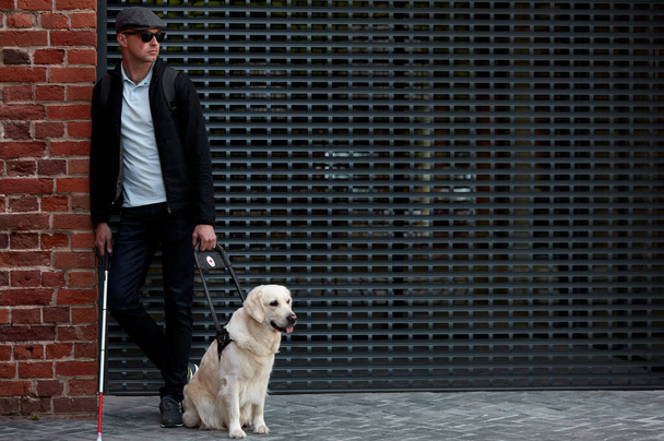 portrait of blind man with cane for the disabled and dog on leash - Foto, Bild