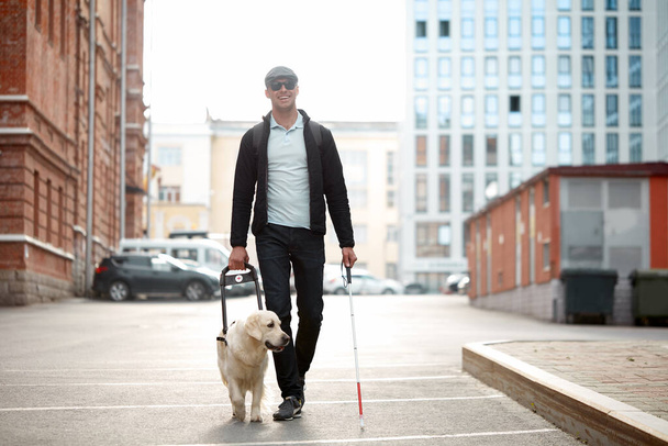 blind man guided by puppy - Fotó, kép