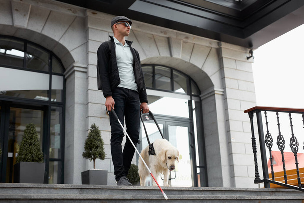 the concept of the blind invalid and the dog guide - Фото, зображення