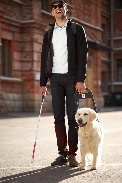 guide dog helps the owner to move freely in big city - Fotó, kép