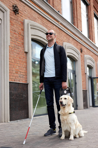 blind man with cane and guide dog walking on pavement in town - Foto, afbeelding