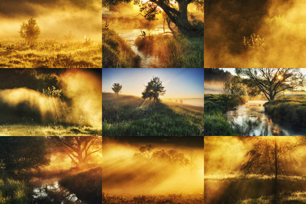 Collage of spring landscapes. collection of photos with morning sunshine - Photo, Image