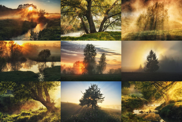 Collage of spring landscapes. collection of photos with morning sunshine - Photo, Image