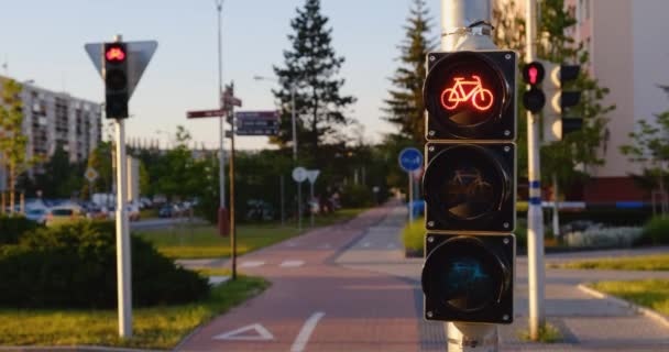 Bicycle semafor měnící se z červené na zelenou. Cyklistická ikona na semaforu na ulici v létě - Záběry, video