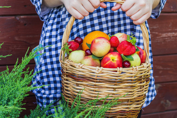 the girl's hands hold nectarines, oranges, strawberries, cherries and mint leaves, which lie in a wicker basket. wooden background - Fotoğraf, Görsel