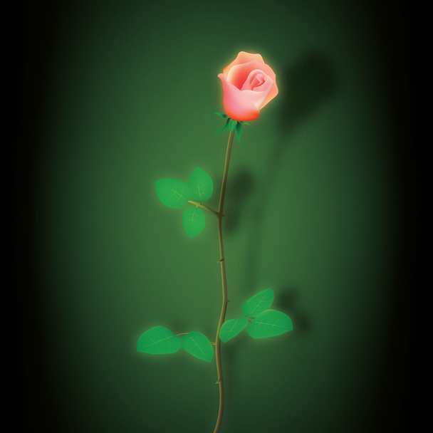 absztrakt sötét háttér piros rózsával, zöld - Vektor, kép