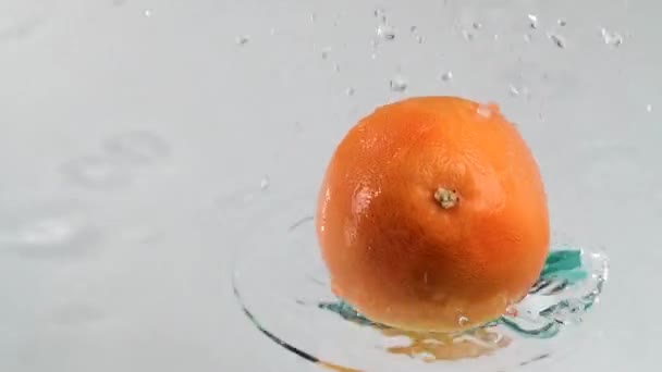 Tropfen Grapefruit auf Wasserspritzer - Filmmaterial, Video