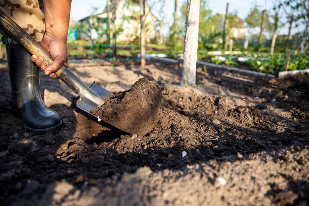 Jardinier creusant dans le jardin. Le sol se prépare pour la plantation au printemps. Jardinage. - Photo, image