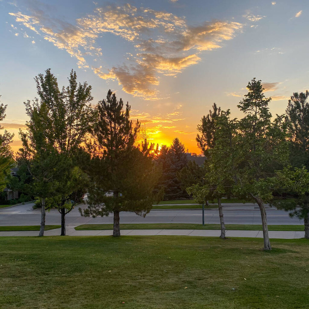 Схід сонця за деревами
  - Фото, зображення