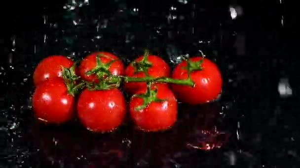 Tomatoes Falling Into Water Splash - 映像、動画