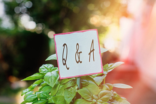 Handwriting text Q And A. Concept meaning in which an individual asks questions and another one to answers them Plain empty paper attached to a stick and placed in the green leafy plants. - Photo, Image