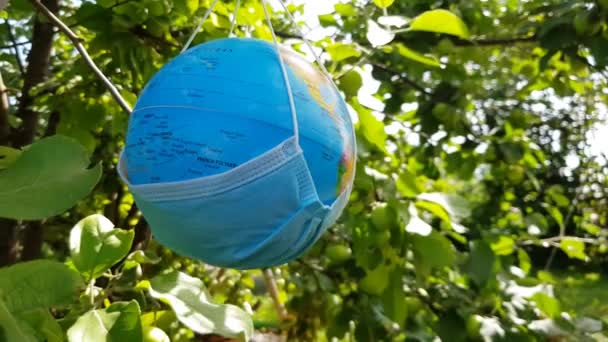 Il mondo e 'in quarantena. Un globo in maschera medica oscilla su un ramo d'albero, all'aperto. Giornata estiva soleggiata, Pandemia di Coronavirus in tutto il mondo. Video 4K - Filmati, video