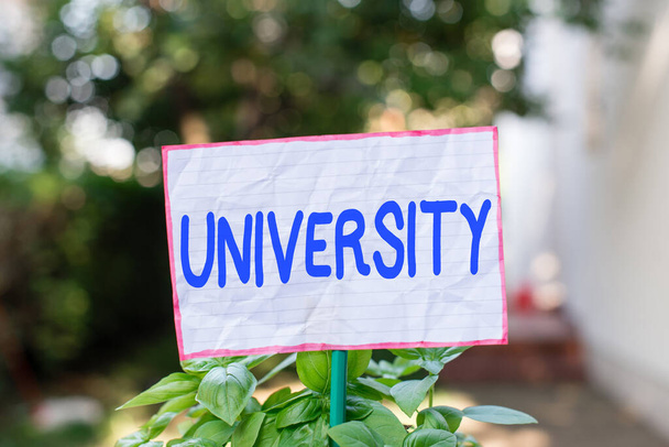Conceptual hand writing showing University. Business photo showcasing an educational institution designed to teach and investigate Plain paper attached to stick and placed in the grassy land. - Photo, Image