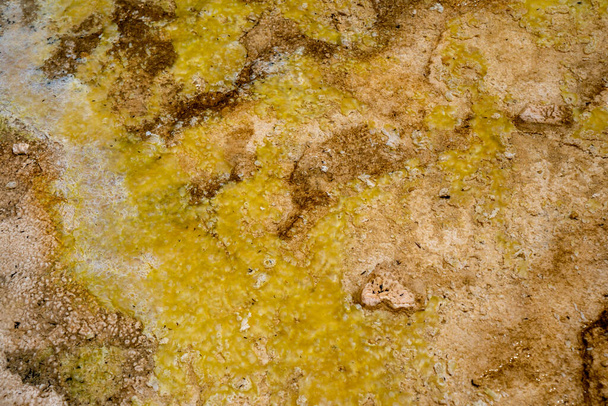 Close-up abstract uitzicht op een warm bronwater bij Biscuit Basin, een geothermisch gebied van Yellowstone National Park. Handig voor achtergronden - Foto, afbeelding