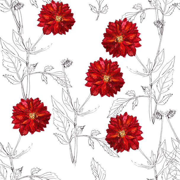 seamless pattern of flowers and inflorescences of red dahlias on a white background. High quality illustration - Фото, изображение