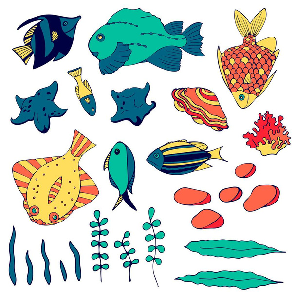 Set of aquarium cartoon fish, seaweed, seashell and stones. Isolated objects on white background. Inhabitants of the underwater world for game, app, banner, swimming pool, print, kids and stickers. - ベクター画像