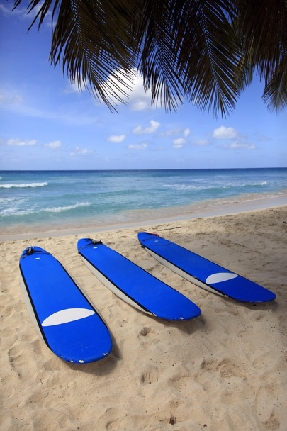 Planches de surf à la plage
 - Photo, image