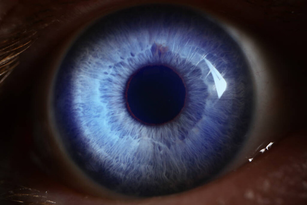 Человеческий голубой глаз со светом прямо на нем - Фото, изображение