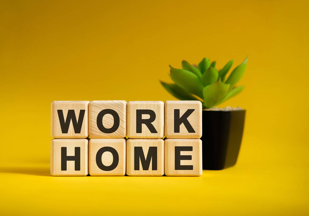 WORK HOME - text on wooden cubes, green plant in black pot on a yellow background - Φωτογραφία, εικόνα