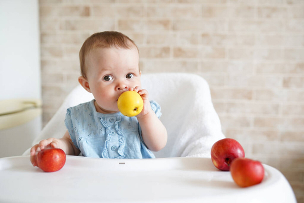 lindo bebé comiendo fruta. Niña mordiendo manzana amarilla sentada en una silla alta blanca en una cocina soleada. Nutrición saludable para los niños. Alimento sólido para lactantes. Snack o desayuno para niños pequeños
 - Foto, Imagen