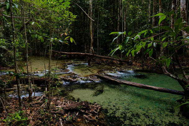 Tropische jungles van Zuidoost-Azië in de winter, Thailand. Jungle landschap. idee en concept van avontuur, recreatie van het lawaai van de stad - Foto, afbeelding
