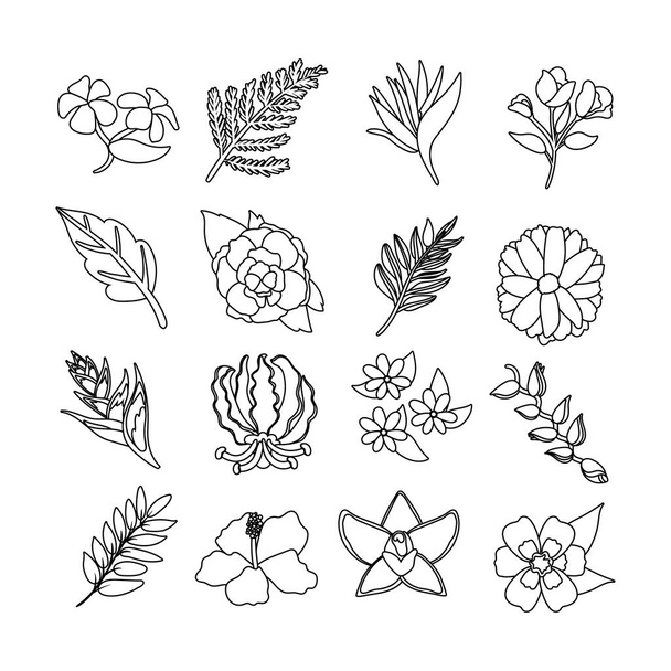 paquete de hermosas flores y hojas iconos
 - Vector, Imagen