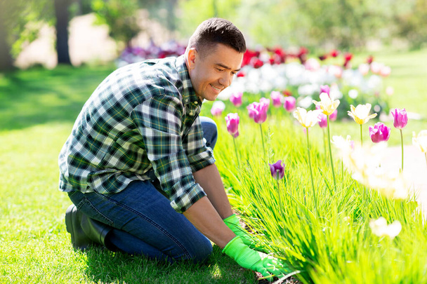 happy man taking care of flowers at garden - Photo, image