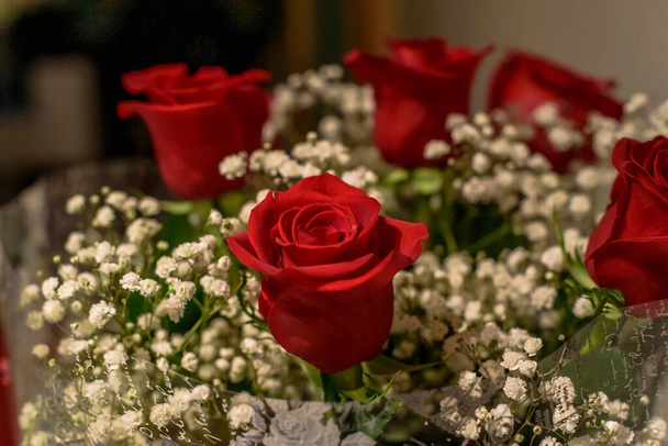 μερικά κόκκινα λουλούδια και μικρές άσπρες μπάλες - Φωτογραφία, εικόνα