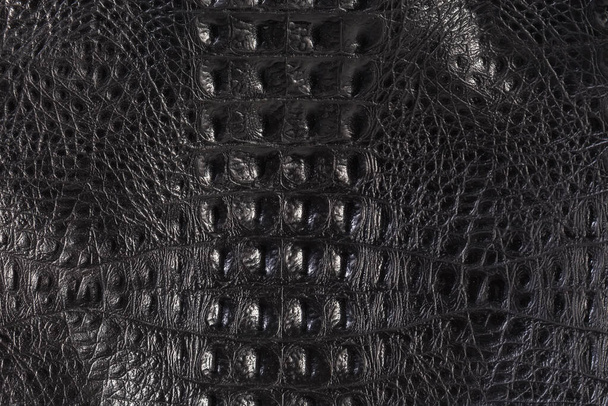 Textur aus echtem Krokodilleder, Fragment der schwarzen Damentasche, Hintergrund - Foto, Bild
