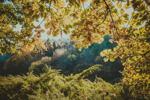 Splendido autunno in un bellissimo parco storico
 - Foto, immagini