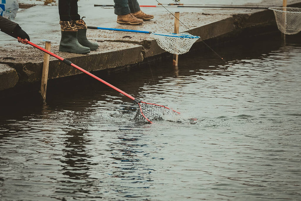 fond de pêche lac truite - Photo, image
