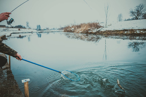 Pesca da truta no lago
 - Foto, Imagem