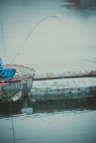Τράουτ αλιεία στη λίμνη - Φωτογραφία, εικόνα