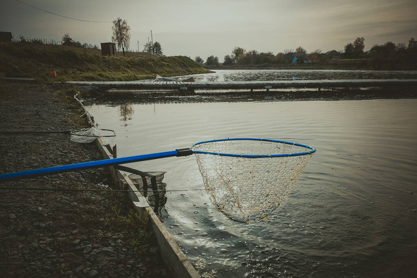 Pesca de truchas en el lago. Recreo de pesca
 - Foto, Imagen