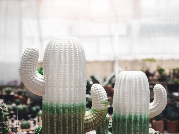 Dwa białe i zielone kaktusy ceramiczne modele dekoracji na tle sklepu roślin domu z miejsca do kopiowania. - Zdjęcie, obraz