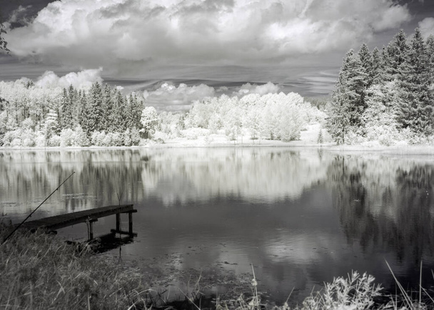 abstract landschap gefotografeerd met infrarood filter, bomen zien eruit als in de winter, mooie wolkenreflecties in het water, surrealistisch landschap - Foto, afbeelding