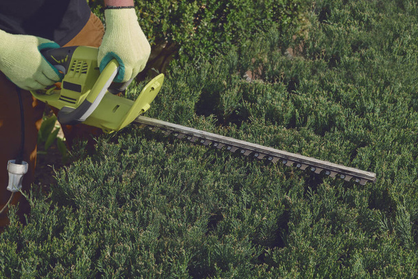 Mãos de trabalhador desconhecido em luvas amarelas estão aparando o arbusto verde coberto com cortador de sebes elétrico no quintal ensolarado. Fechar
 - Foto, Imagem