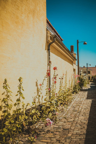 Hermosa arquitectura danesa en un pintoresco pueblo
 - Foto, Imagen