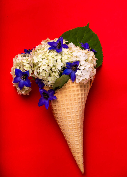 Waffle cone with spring flowers, vanilla style on a red background. - Fotoğraf, Görsel