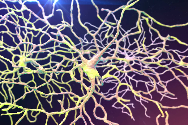 Retinal neuron, a neuron that plays crucial role in vision, it transforms the optical image in order to extract visual information, 3D illustration - Photo, Image
