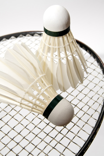 Badminton shuttlecocks on the racket - Fotoğraf, Görsel