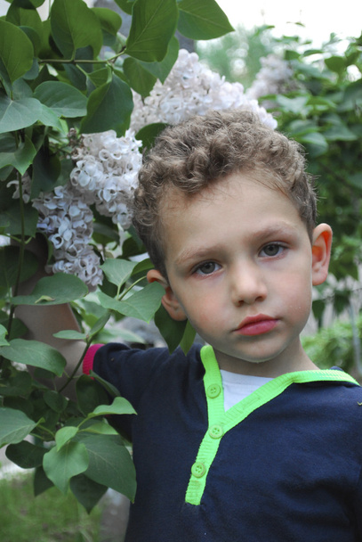 Niño oliendo una rama de lila blanca
 - Foto, imagen