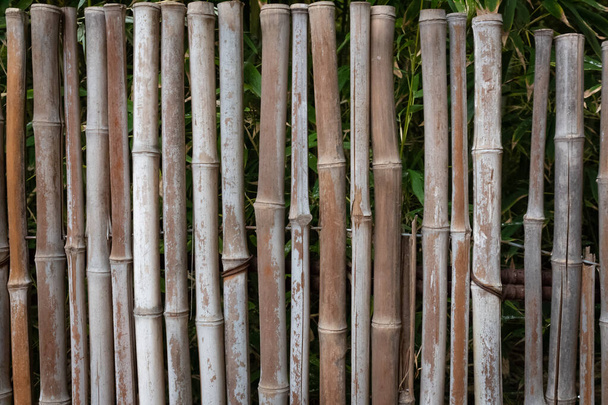 Sfondo naturale di vecchia recinzione di bambù nei toni del marrone, spazio copia creativa, aspetto orizzontale - Foto, immagini