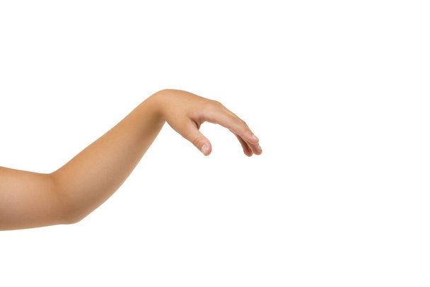 Mão das crianças, palma gestual isolada sobre fundo estúdio branco
 - Foto, Imagem