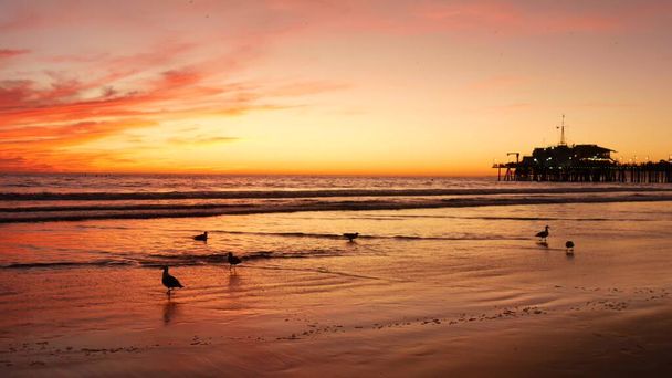 Estetyczna plaża w Kalifornii, złoty zachód słońca. Żywe, dramatyczne chmury nad pacyficznymi falami oceanu. Santa Monica popularny kurort, Los Angeles CA USA. Atmosferyczny fioletowy zachód słońca w LA. - Zdjęcie, obraz