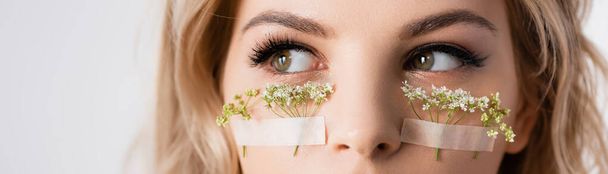 cropped view of beautiful blonde woman with wildflowers under eyes isolated on white, panoramic shot - Foto, afbeelding